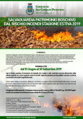 Salvaguardia del Patrimonio boschivo dal rischio incendio - Stagione Estiva 2019