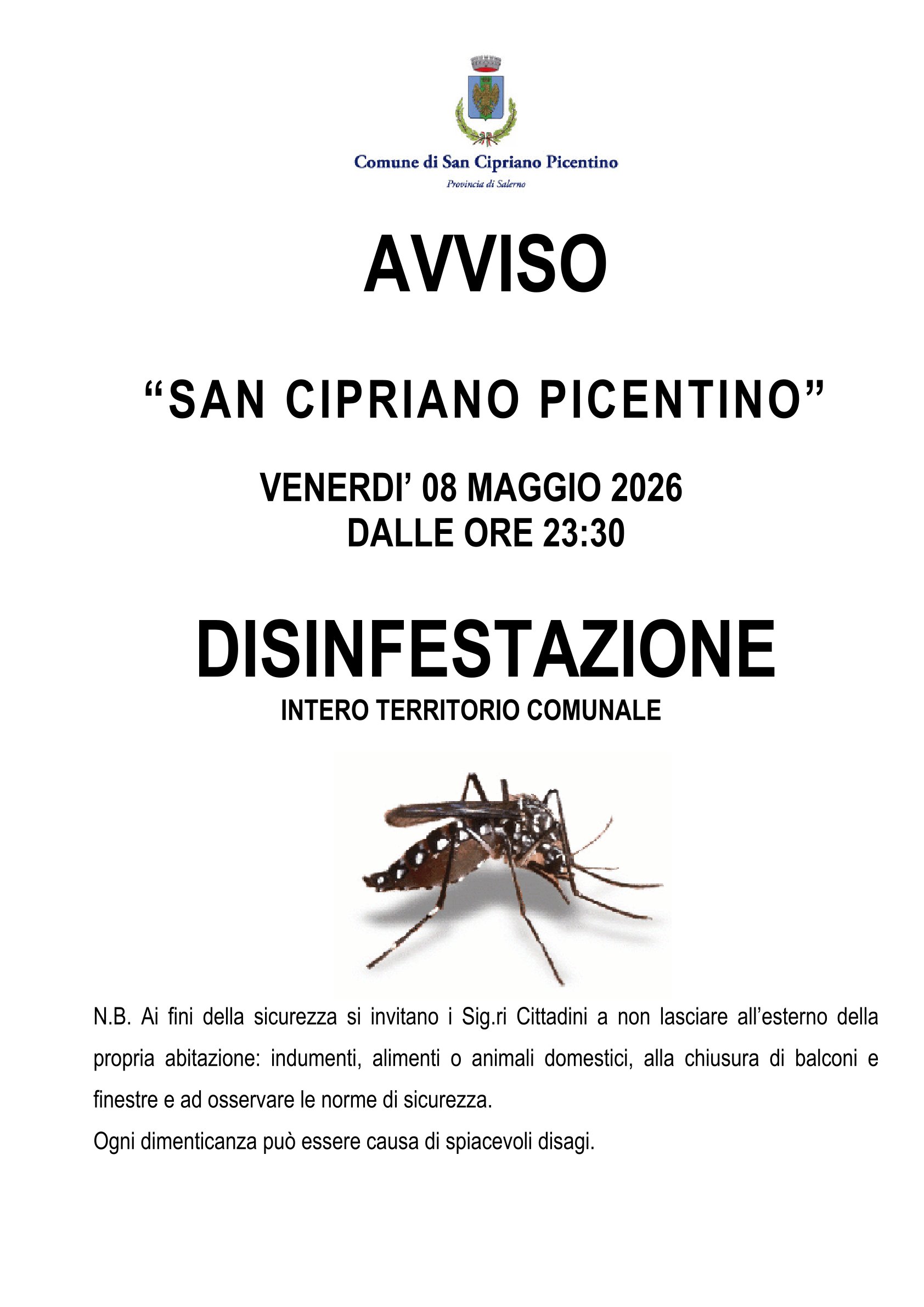 Immagine della card
